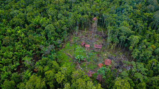Aerial view of a small village of the Korowai people in a clearing in the tropical rainforest of Newguinea. 

