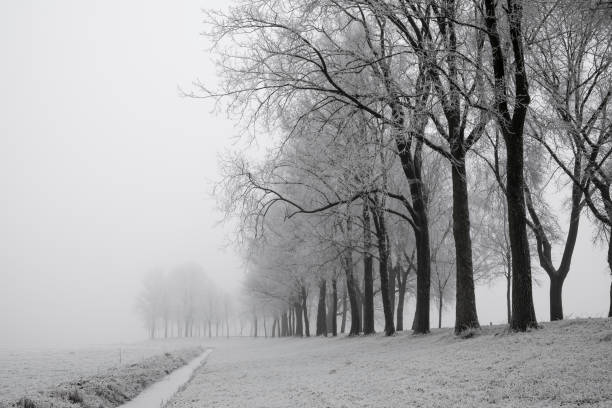 istock Frosty winter landscape during an early misty morning 878981432