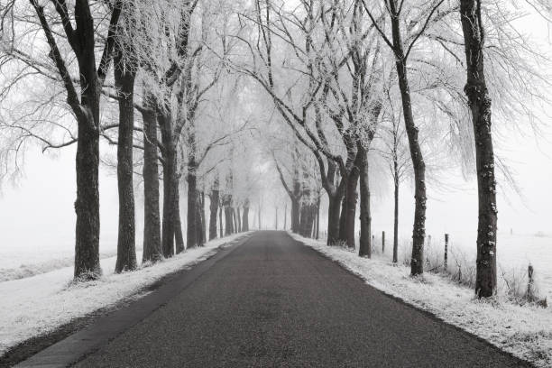 istock Country road through a frozen wintry landscape 878990532