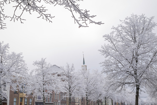 Typical Dutch houses in the city of Kampen at the Brugel canal in the city center with frost covered trees in the foreground. Kampen in Overijssel, The Netherlands is an old Hanseatic League city.