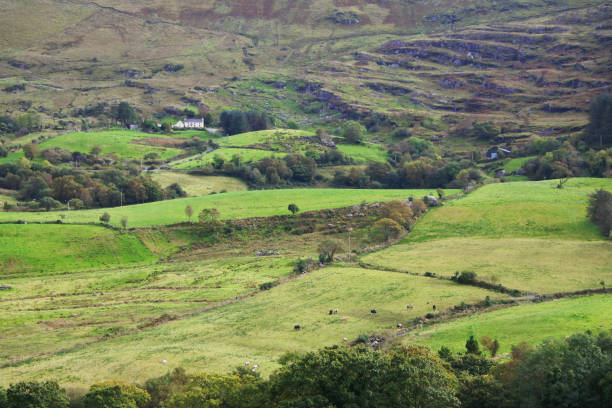 istock Irish Landscape - Stock Image 878991234