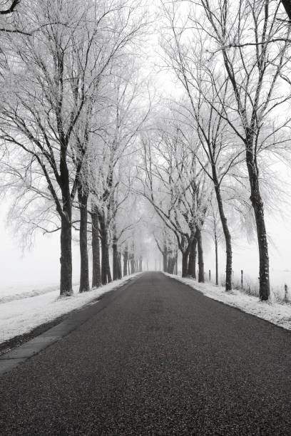 istock Country road through a frozen wintry landscape 878991470