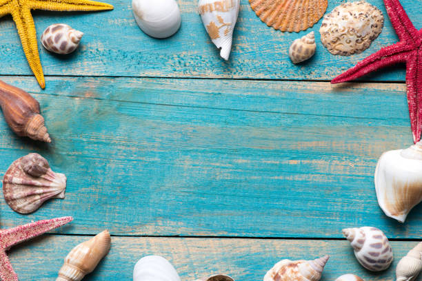 istock Shells and starfishes on blue wooden background. Copy space for your text. 878993996