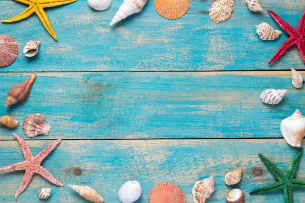istock Shells and starfishes on blue wooden background. Copy space for your text. 878994084
