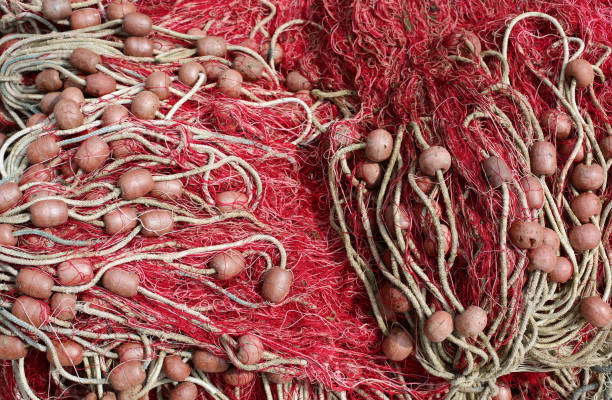 istock background of fishing nets with floats used to fish 879007742