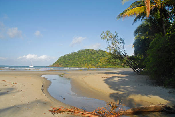 istock Beach of Cape Tribulation 879011526