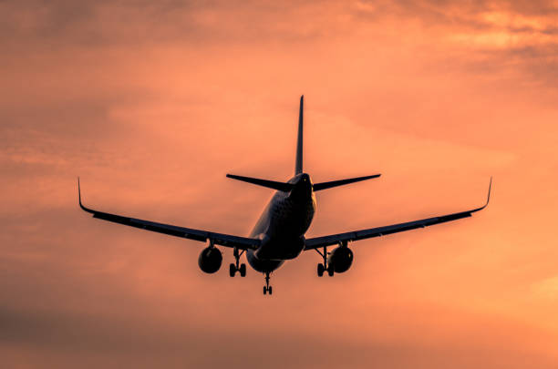 istock Airplane landing at sunset 879012224