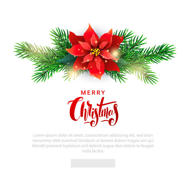 ilustrações, clipart, desenhos animados e ícones de modelo de natal para lista de e-mail com poinsettia - mistletoe christmas christmas decoration christmas ornament