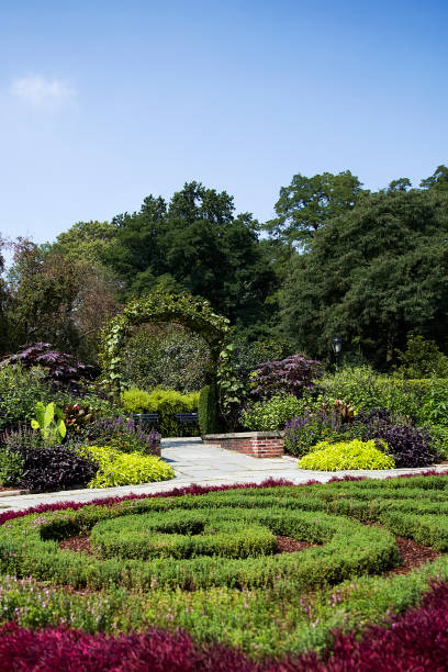 istock Central Park, New York, United States 879031368