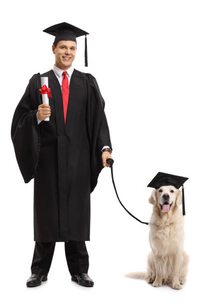 대학원생 학위와 졸업 모자를 쓰고 개 - dog graduation hat school 뉴스 사진 이미지