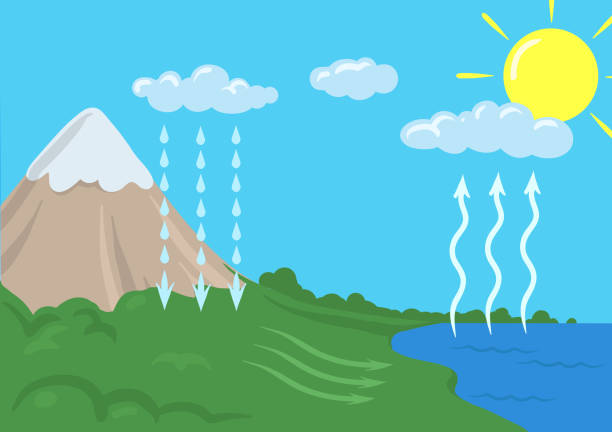 ilustrações, clipart, desenhos animados e ícones de representação esquemática do vetor do ciclo da água na natureza. ilustração de infografia. - grass area hill sky mountain range