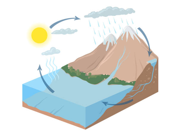 illustrations, cliparts, dessins animés et icônes de représentation schématique de vecteur du cycle de l’eau dans la nature. isométrique infographie illustration. - cycle de leau