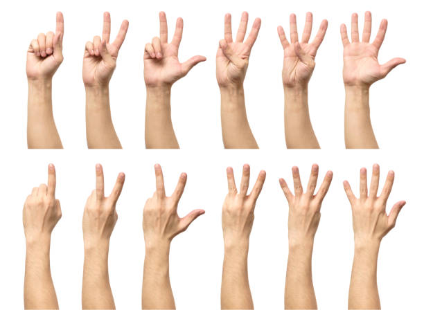 istock Five counting male hands isolated on white background 879044124