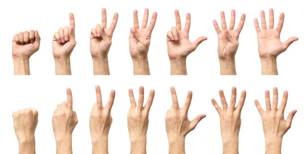 istock Male hands counting from zero to five isolated on white background 879044126