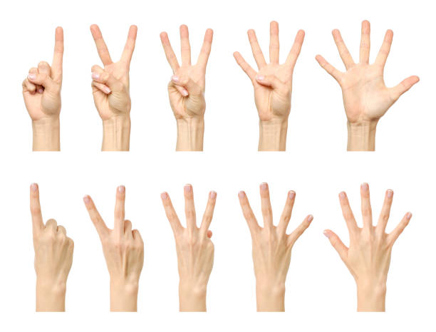 istock Female hand counting from one to five isolated on white background 879044134