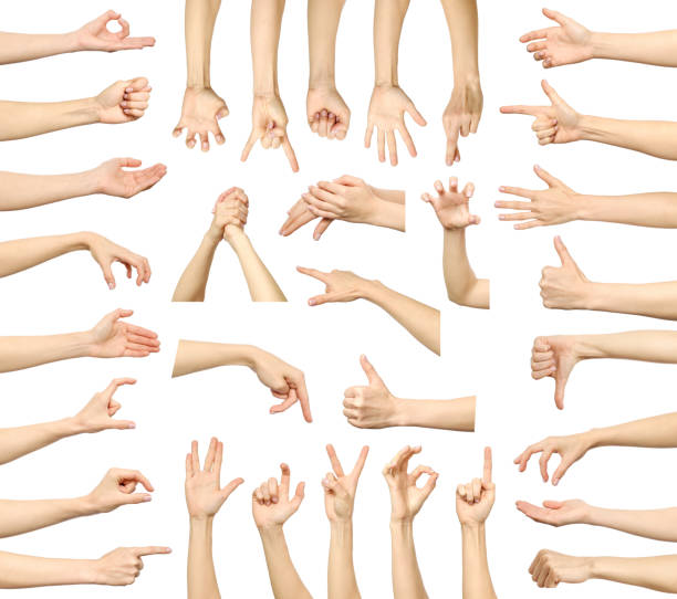 istock Multiple woman's hand gestures isolated on white. Big set of multiple images 879044144