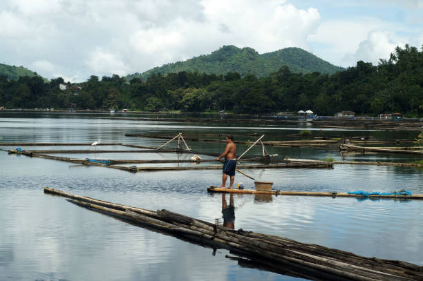 Sampaloc Lake, San Pablo City, Laguna, Philippines - November 9, 2017: Massive body boatman paddle bamboo raft boat across mountain lake.