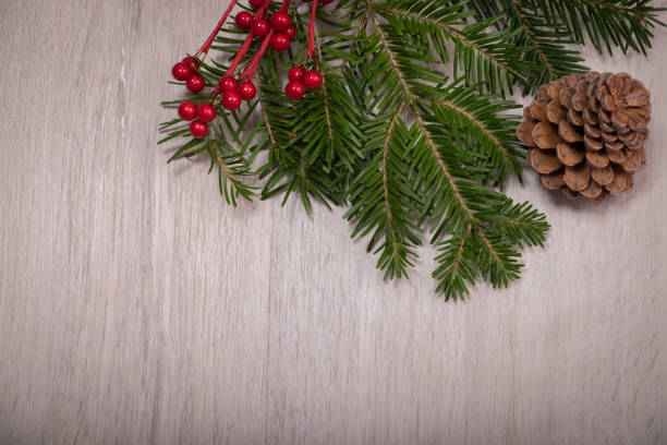 Christmas holly, pine tree, and cone over a wood background stock photo