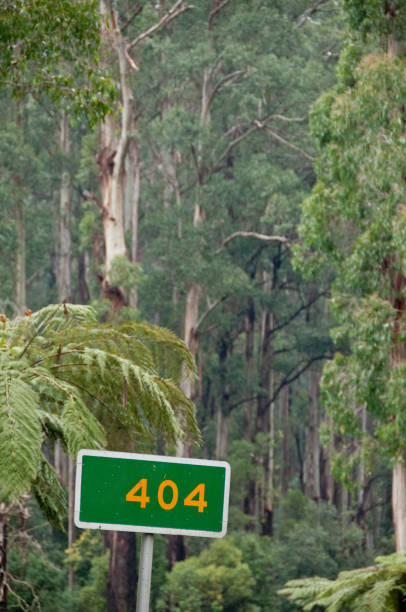 istock 404 Green sign banner in a deep forest. 404 is an error message on the internet to indicate that the client was able to communicate with a given server, but the server could not find what was requested. 879059424