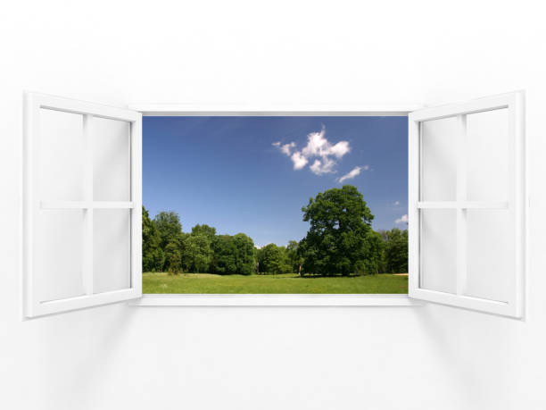 istock Open door new opportunity entrance exit concept 879076496