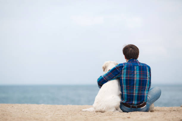 istock Man with his dog at the summer beach sitting back to camera 879085628