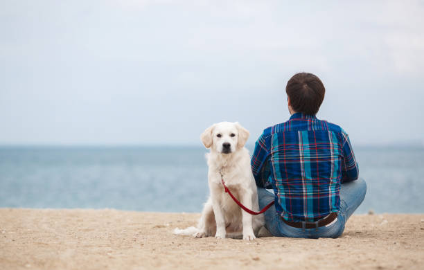 istock Man with his dog at the summer beach sitting back to camera 879085630