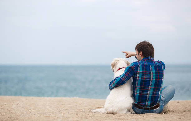 istock Man with his dog at the summer beach sitting back to camera 879085634