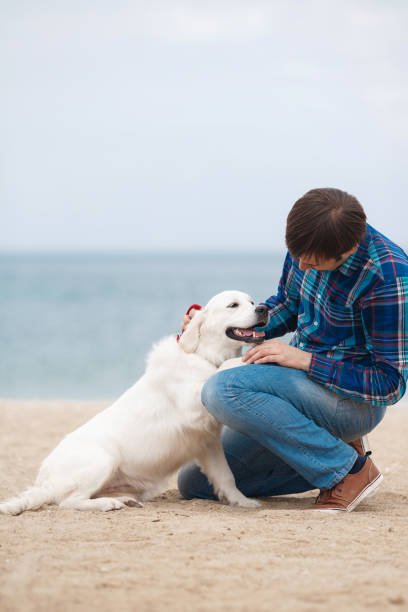 istock Man and dog having fun on seaside. 879085642