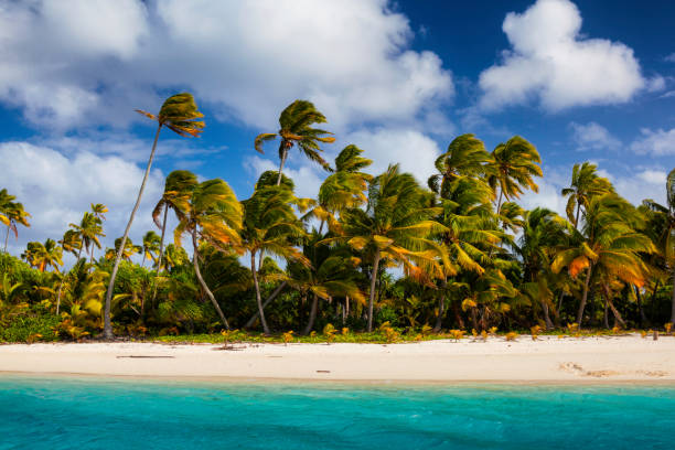 tropische aitutaki lagune in de cook eilanden - onbewoond eiland stockfoto's en -beelden