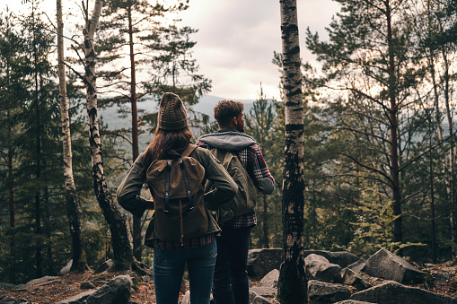 Rear view of young couple standing and looking away while hiking together in the woods