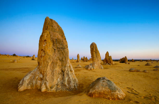 istock Dusk At The Pinnacles Of Western Australia 879086428