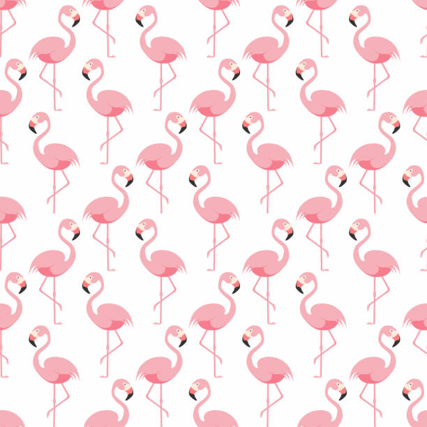 Flamingo seamless pattern. Pink flamingo standing on one leg. Tropical pattern Flamingo seamless pattern. Pink flamingo standing on one leg. Tropical pattern. Vector flamingo stock illustrations