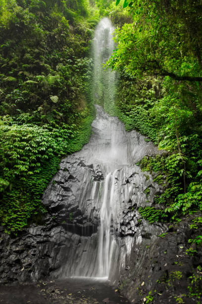 istock Beautiful big waterfall in green forest. Nature landscape background 879093992
