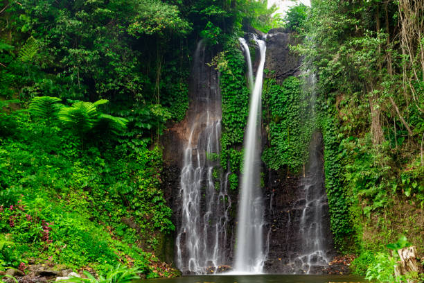 istock Beautiful big waterfall in green forest. Nature landscape background 879094142