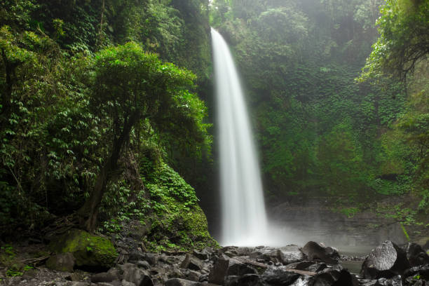 istock Beautiful big waterfall in green forest. Nature landscape background 879094232