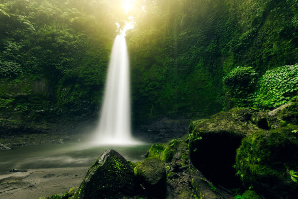 istock Beautiful big waterfall in green forest. Nature landscape background 879094260