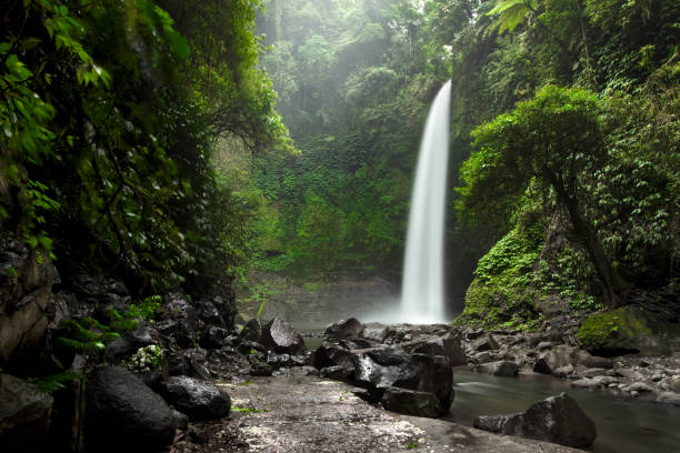 istock Beautiful big waterfall in green forest. Nature landscape background 879094454