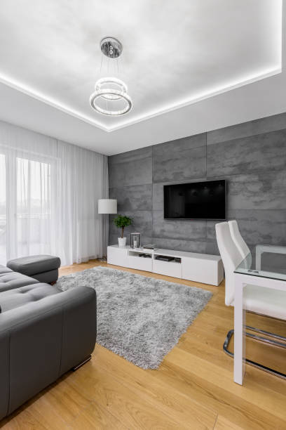 istock Sitting room with shaggy rug 879111740