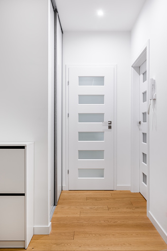 White doors and furniture in hallway of modern apartment