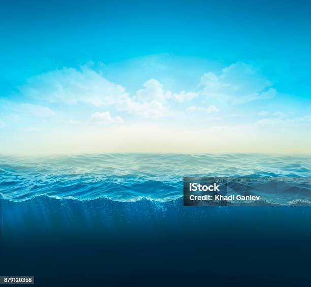 Kreuz Abschnitt Wasser Ozeanslice Wassersäule 3d Illustration Stockfoto und mehr Bilder von Meer