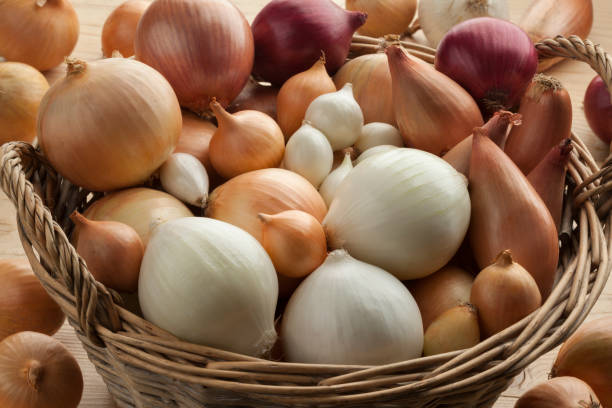 vielfalt der frischen zwiebeln in einem korb - sweet onion stock-fotos und bilder