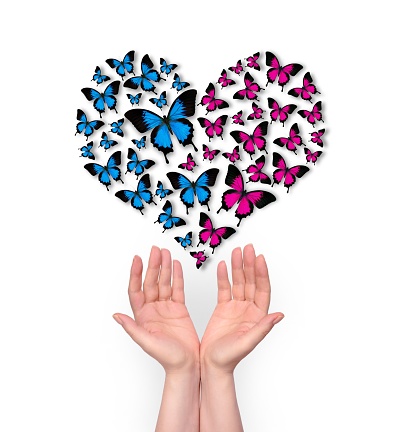 heart shape and hands on a wooden background from butterflies