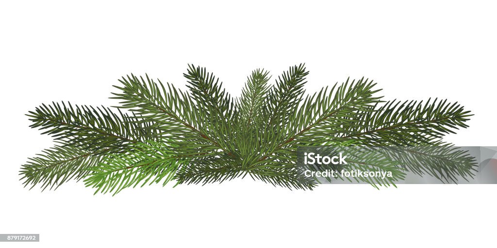 Vector illustration. Eps 10.Garland of branches of a Christmas tree . Isolated. nature decoration. Vector illustration. Eps 10.A long garland of fir branches. Christmas decor of natural elements. Drawing. Isolated. New Year. Branch - Plant Part stock vector