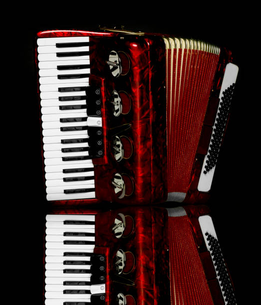 istock Accordion On a Black Background 879173024