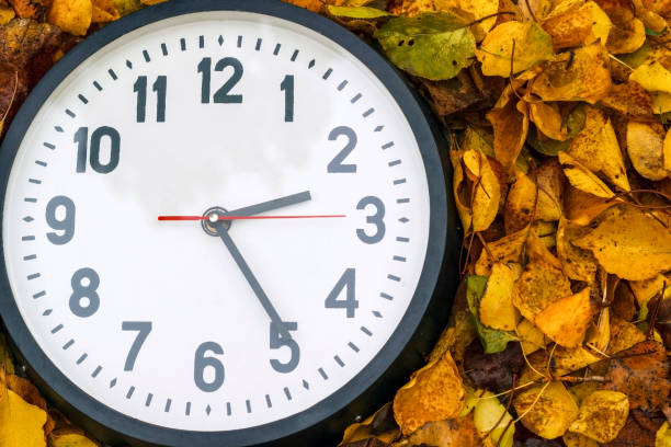 relógio preto redondo, deitado no outono folhas. - daylight savings - fotografias e filmes do acervo