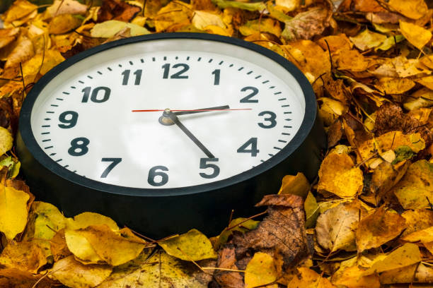 istock Round black clock lying on autumn leaves. 879180158