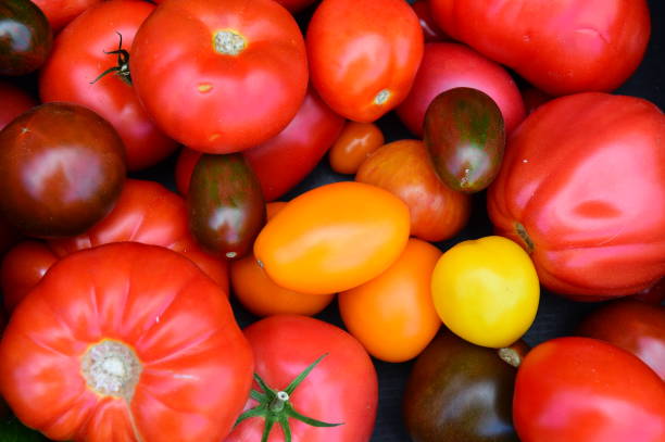 istock Farmer's Market 879180776