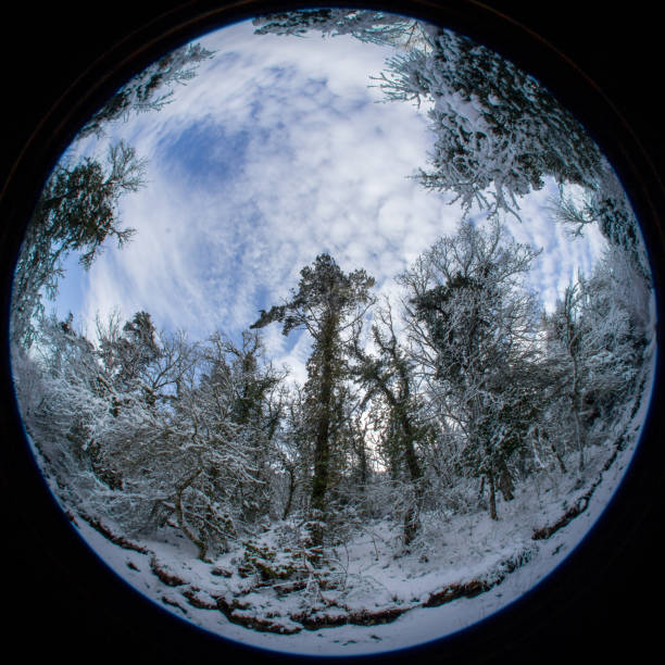 istock the Sainte-Baume massif under the snow 879181144