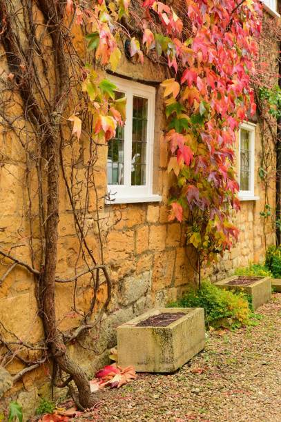 istock English Autumn Landscape 879186484