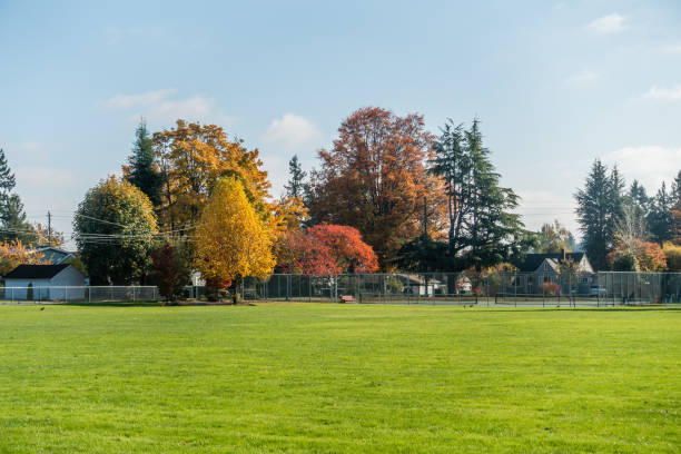 istock Autumn In The Neighborhood 6 879187154